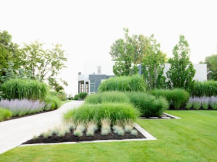 Port Dalhousie (modern grasses) Old